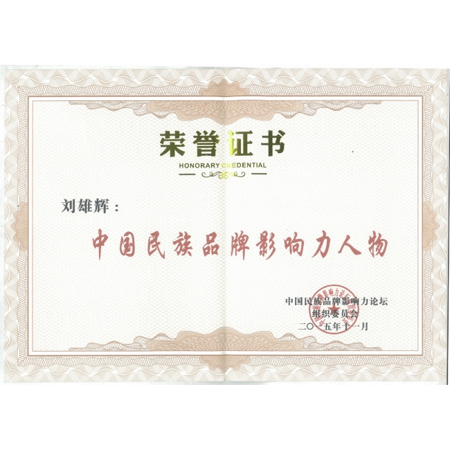 中國民族品牌影響力人物